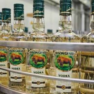 Бизоновата трева превръща водка Zubrowka в истинска легенда